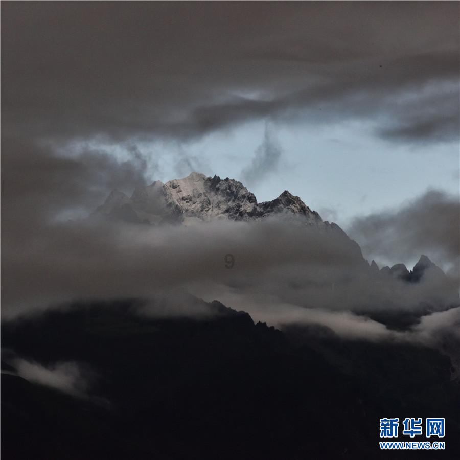 全战：幕府将军2